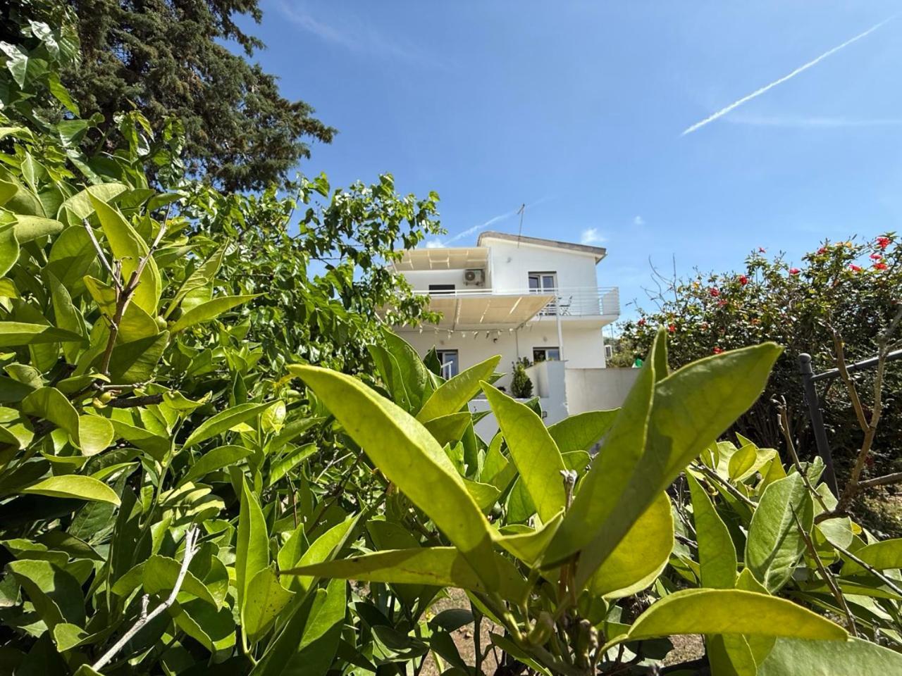 Terra Di Mare Pension Agrigento Buitenkant foto